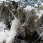 Mesothelioma law firm Newport Beach CA