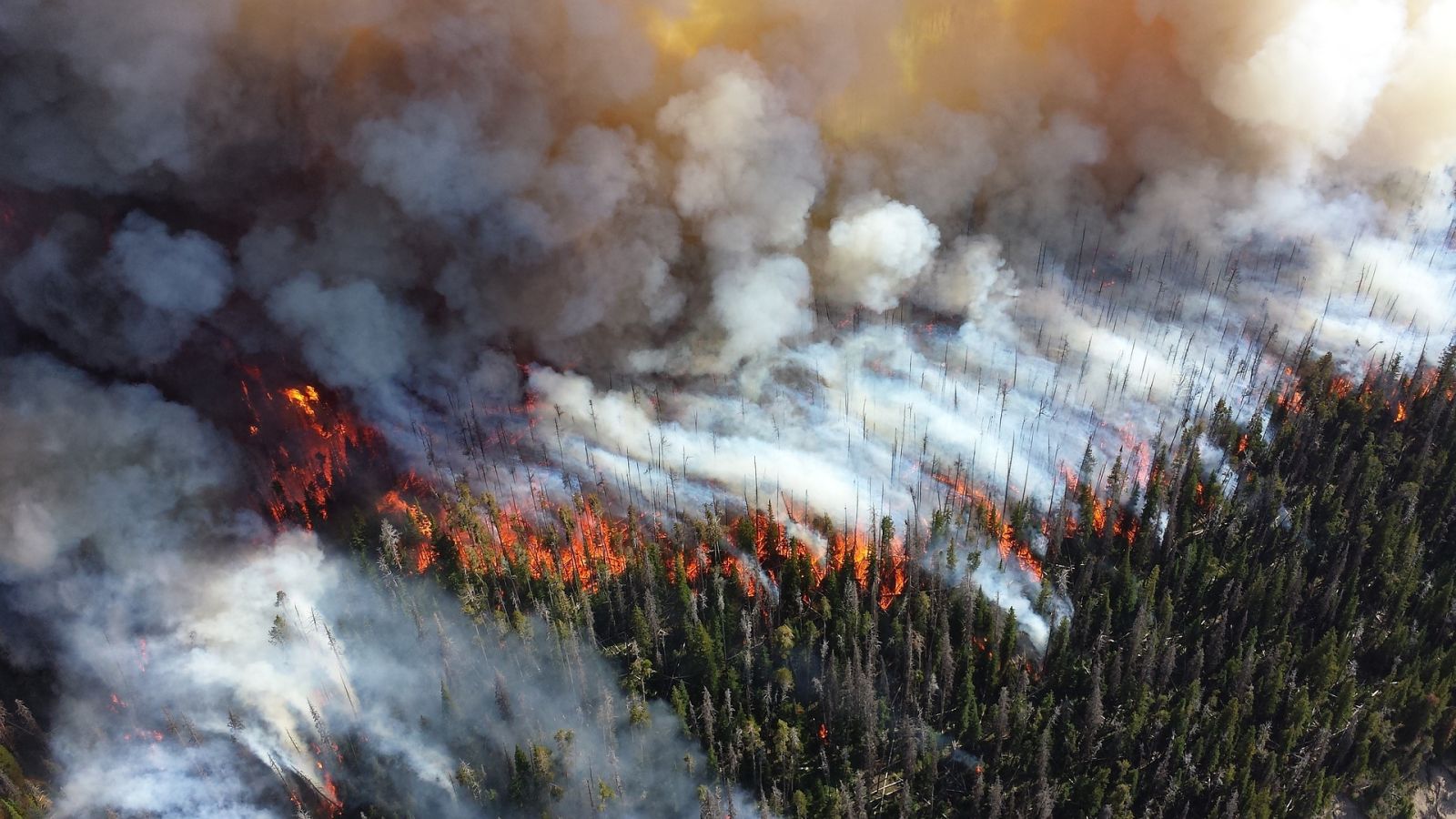 Northern Wildfires May Be Leaving Dangerous Asbestos in Their Wake