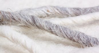 Is Chrysotile Asbestos Dangerous?
